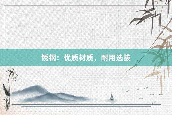 锈钢：优质材质，耐用选拔