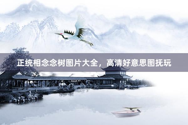 正统相念念树图片大全，高清好意思图抚玩